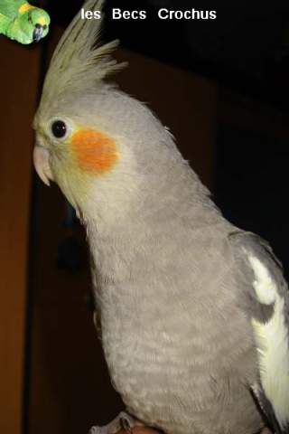 Photo1.jpg