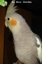 Photo1.jpg